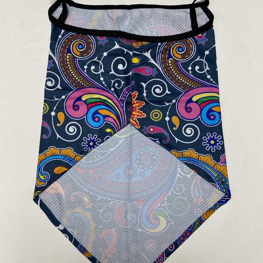 Colorful Paisley Mask - Picture 4 of 11